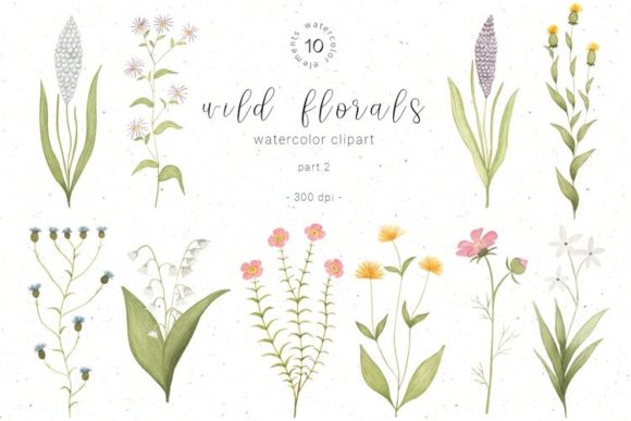 Download Watercolor Wildflower Botanical Clipart - Wildflower Collection