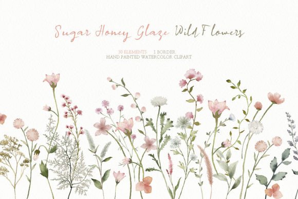 Download Watercolor Spring Wildflower Clipart - Wildflower Collection