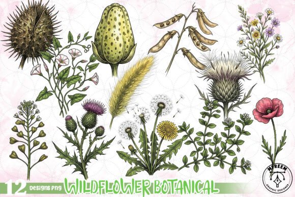 Download Wildflower Botanical Clipart PNG - Wildflower Collection